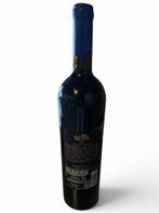 2019 Seña - Aconcagua Vallei - 1 Fles (0,75 liter)