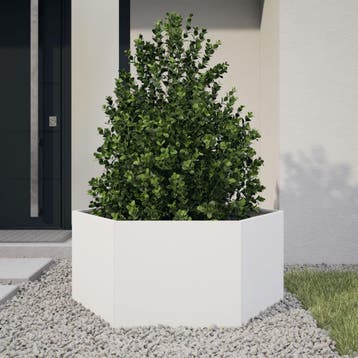 vidaXL Plantenbak zeshoek 104x90x45 cm staal wit, Tuin en Terras, Verzenden, Nieuw