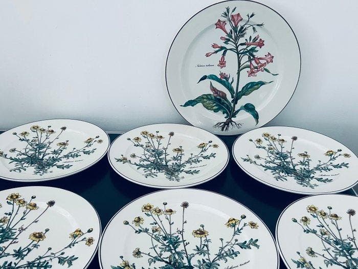Villeroy & Boch - Bord (7) - Botanica - Porselein - XL, Antiquités & Art, Antiquités | Meubles | Tables