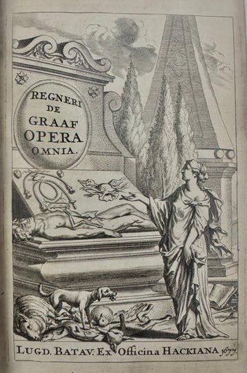 Reiner de Graaf - GRAAF OPERA OMNIA - ANATOMIA -MEDICINA -
