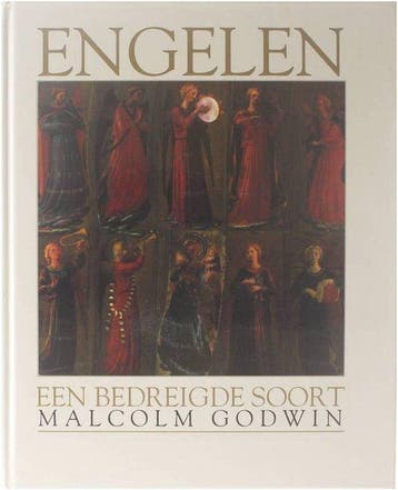 ENGELEN 9789059470439 M. Godwin, Verzenden, M. Godwin