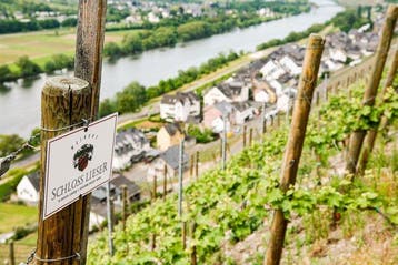 2007 Schloss Lieser Niederberg Helden Riesling - Moselle, Verzamelen, Nieuw