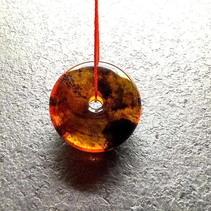 Pendentif amulette en ambre baltique en forme de beignet,, Collections, Collections Animaux