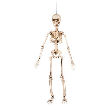Halloween Skelet 50cm, Verzenden