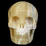467 g Eastern Stone Skull – spectacle printanier joyeux du