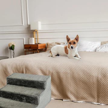 MaxxPet Hondentrap - easy step - 43x41x30cm - Grijs (Dier), Ophalen of Verzenden, Nieuw