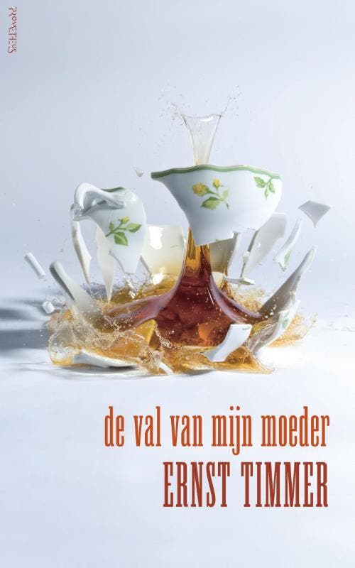 De val van mijn moeder 9789044630367 Ernst Timmer, Boeken, Romans, Gelezen, Verzenden