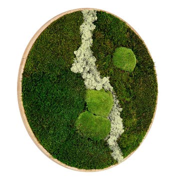 Mosschilderij Rond 40 cm Ongelakt Eiken - Uppsala Latte, Verzenden, Nieuw