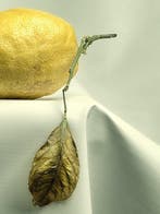 Ursula van de Bunte - Lemon No 1