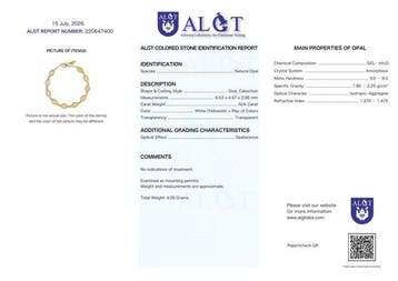 Zonder minimumprijs - Armband Zilver - Opal - Gecertificeerd
