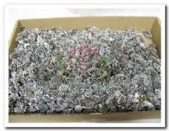 Birch Pine Frosted doos 500 gram, Nieuw