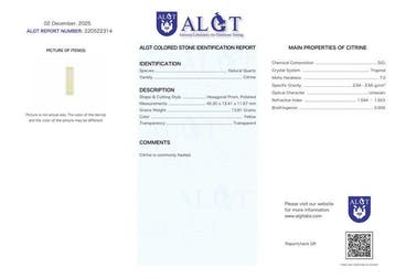 ALGT Gecertificeerd - Zeer Exclusieve Natuurlijke Citrien -