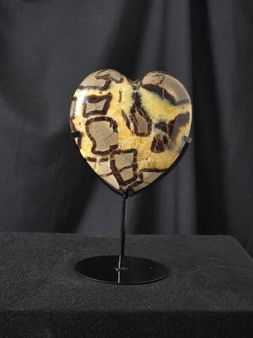 Hartvormige Septarian-steen - houder inbegrepen Hart -