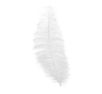 Witte Struisvogelveren 30cm 12st, Verzenden, Nieuw