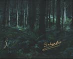 Lord of the Rings - Signed by Sadwyn Brophy (Eldarion), Verzamelen, Nieuw