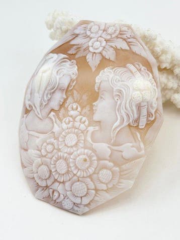 CASSIS MADAGASCARIENSIS - Cameo - Handgesneden camee
