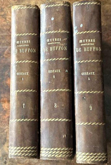 Buffon - Œuvres complètes de Buffon - les oiseaux - 1835