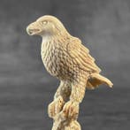 Sculpture, NO RESERVE PRICE - Stunning Eagle carving from, Antiquités & Art
