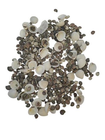 Schelpenmix Mini 150 gram, Hobby en Vrije tijd, Nieuw