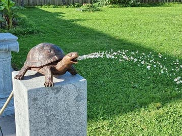 Fontein - Bronze Turtle - 2026