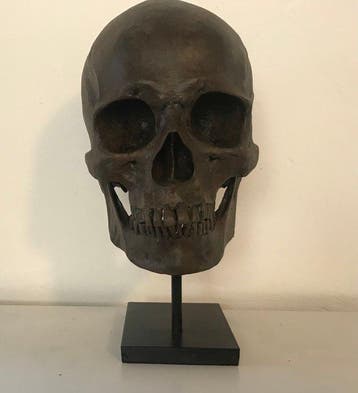 Beeld, NO RESERVE PRICE - Human Skull Replica on custom