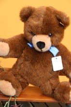 Steiff: Molly Teddy 1994, EAN 021725 - Teddybeer - 1990-2000, Antiek en Kunst