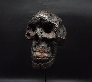 Magnifique masque crâne - sculptuur - Nigeria (Zonder