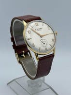 Cauny Prima - De Luxe - Zonder minimumprijs - 325-192 6410 -, Nieuw