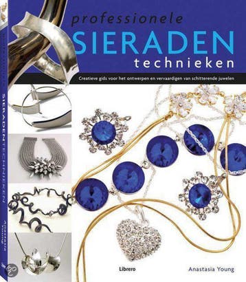 Professionele sieradentechnieken 9789089981806, Verzenden, Gelezen, Anastasia Young