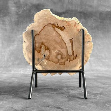 Magnifique tranche de bois pétrifié sur un socle