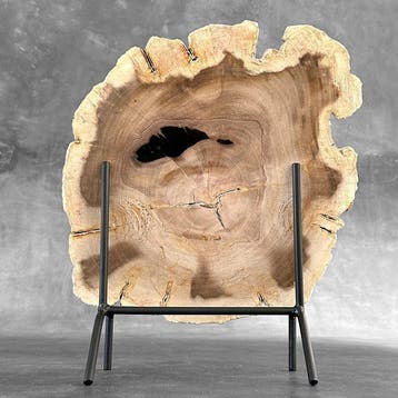 Prachtige snede van versteend hout op een op maat gemaakte