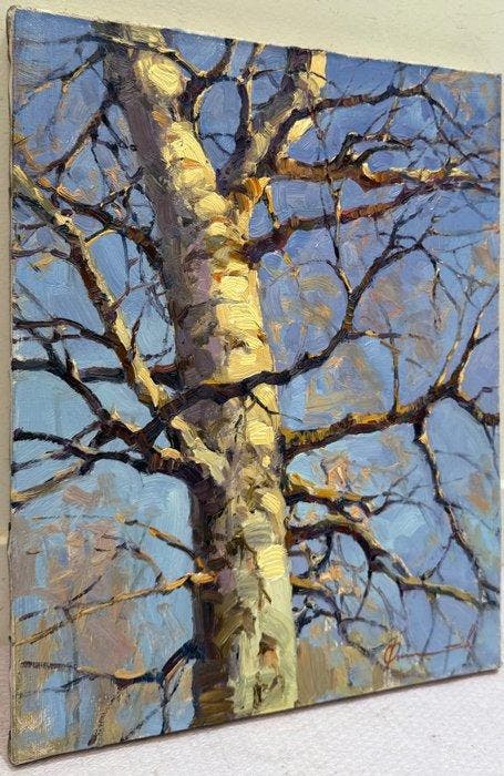 Sergei Flitov (1964) - Beau Bouleau sous le Soleil de, Antiquités & Art, Art | Peinture | Classique