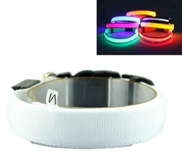 LED Halsband RGB, Verzenden