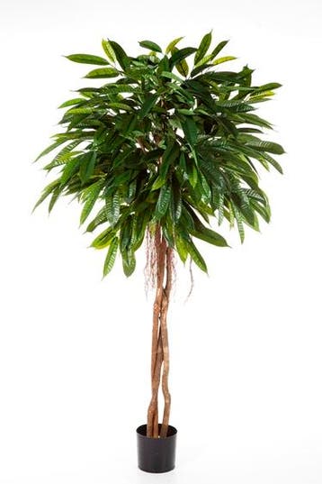 Kunstplant Ficus 180 cm, Verzenden