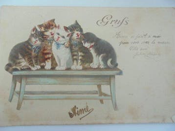 Chiens et Chats - Carte postale (54) - 1900-1980