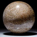 Extreem kostbaar - - Fossiel fragment - Large Sphere in