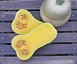 JWS 6823 F1 Bio Butternut Flespompoen basiseenheid zaden, Nieuw