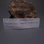 Néolithique Silex. Couteau de 8 cm de long. - 5000 av. J.-C., Collections