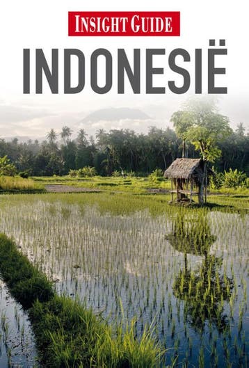 Indonesie / Insight guides 9789066554269, Verzenden