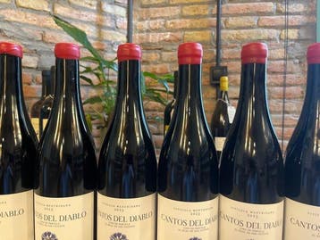 2023 Daniel Landi Vitícola Mentridana, Cantos del Diablo -, Verzamelen, Nieuw