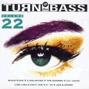 Various - Turn Up The Bass Volume 22, CD & DVD, CD | Pop, Envoi