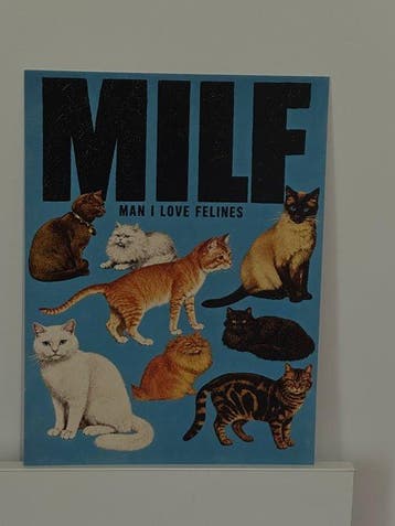 Anonimo - MILF Man I Love Felines - Jaren 2010