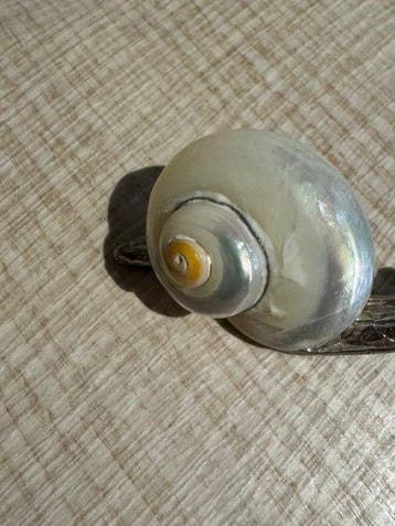 Figure - Snail - Argent 800