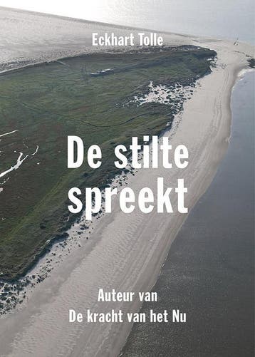 De stilte spreekt 9789020210385 Eckhart Tolle, Boeken, Verzenden, Gelezen, Eckhart Tolle