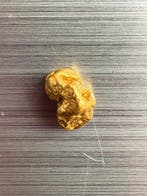 Goud Goud nuggets- 0.11 g - (1), Collections