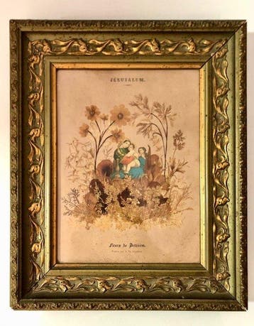 Tableau avec des fleurs de Bethléem, disposées près du