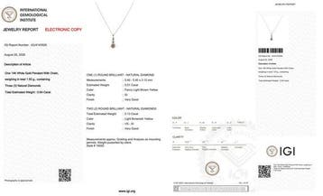 Zonder minimumprijs - Ketting met hanger - 14 karaat Witgoud