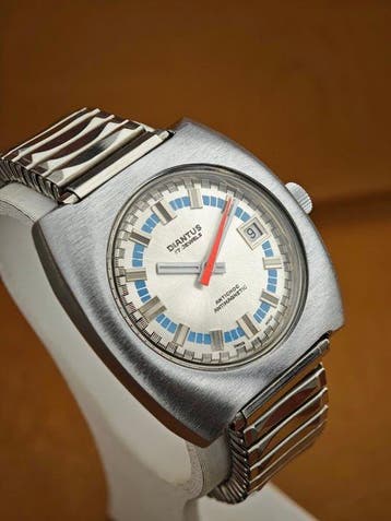 Diantus - Sans prix de réserve - Homme - 1970-1979, Nieuw