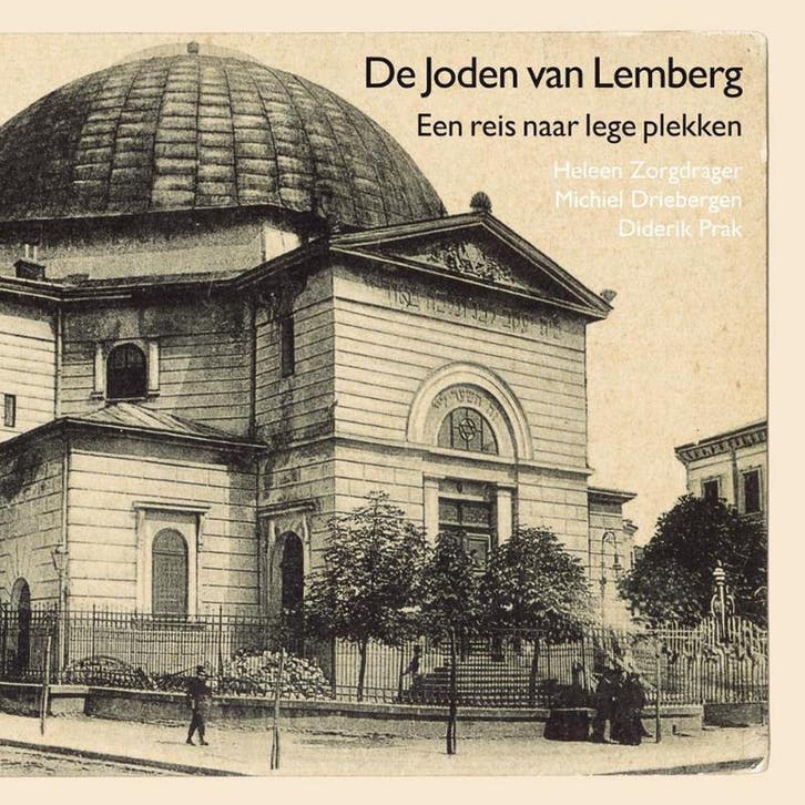 De joden van Lemberg 9789462030176 Michiel Driebergen, Boeken, Kinderboeken | Jeugd | 13 jaar en ouder, Zo goed als nieuw, Verzenden