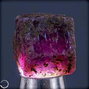 Natuurlijke zeldzame Padparadscha-saffier – Ruw kristal met